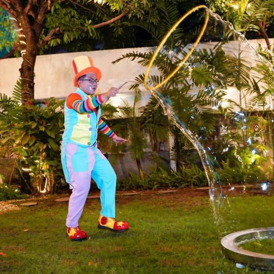 Biểu diễn giải trí