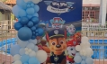 Sinh nhật chủ đề chó cứu hộ