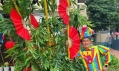 Dịch Vụ Thuê Chú Hề Sinh Nhật Quận 1